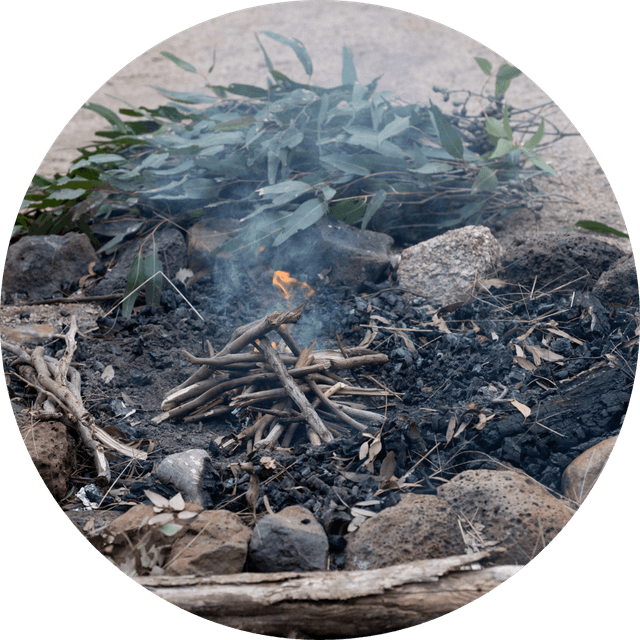 The Meeting Point session